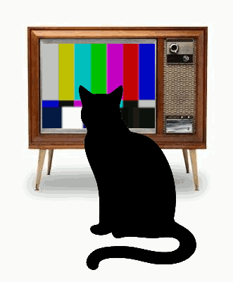 cat watching static on a retro TV